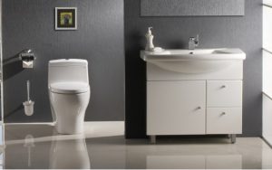 Những loại bồn cầu teady trên thị trường